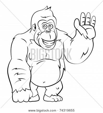 Gorrila