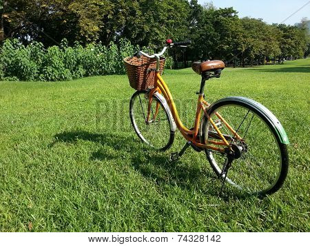 Bicycle In Park