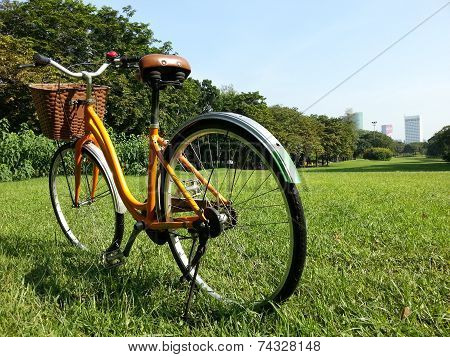 Bicycle In Park