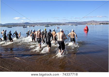 Partisipants Start The Swimming Leg Of A Triathlon