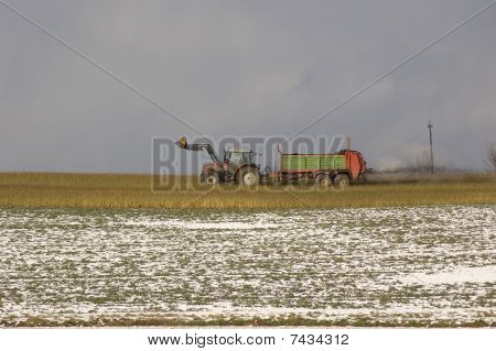 Fertilizing.