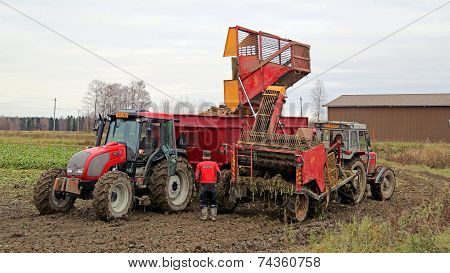 Sugar Beet Harvest
