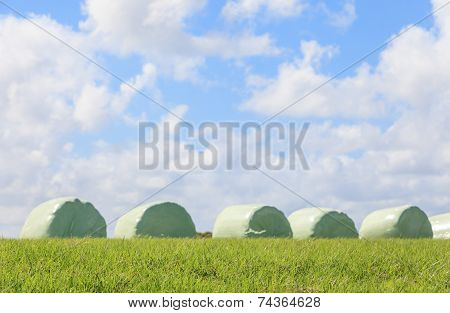 The Blurry Scene Of Silage And Sky Background.