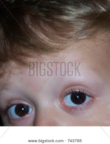 Diese Augen
