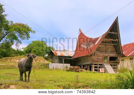 Traditional Batak House On Samosir Island, Sumatra, Indonesia