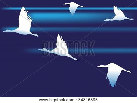Cranes