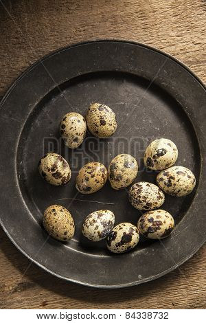 Moody Natural Lighting Vintage Retro Style Image Of Quaills Eggs