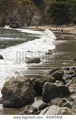 Close Up Of Muir Beach