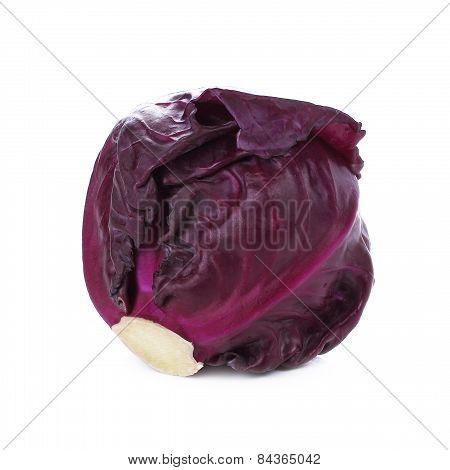 Red Cabbage, Violet Cabbage Isolated On White