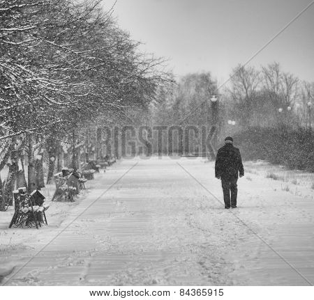 The Lonely Person In Park