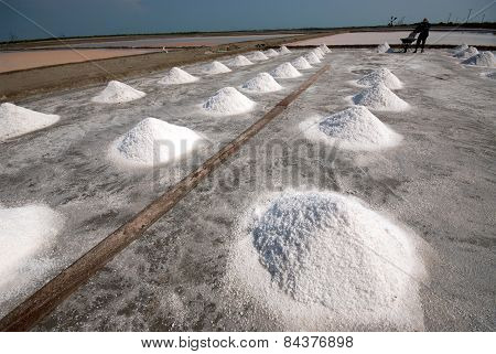 Row Of Salt Pile.