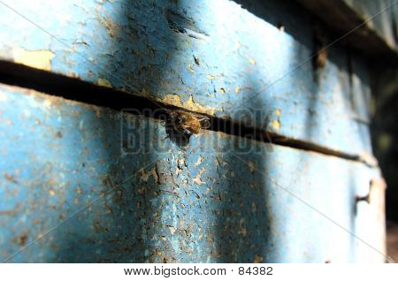 Bee_006