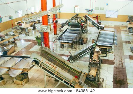 Inside A Tea Factory
