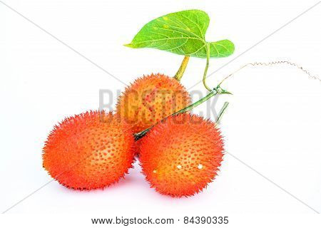 Gac Fruit Isolated On White Background