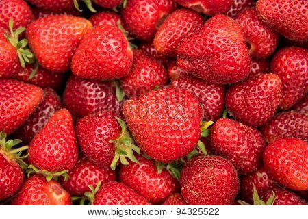 Close up of fresh picked strawberries