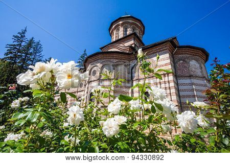 White Roses Flowers In Front Of Cozia Monastery Church On A Sunny Summer Day
