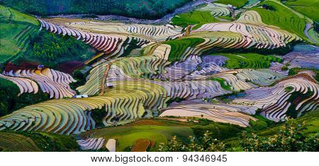 Terraced rice field in water season in Mu Cang Chai Vietnam