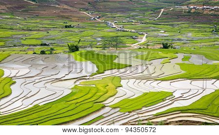 Terraced rice field in water season in Mu Cang Chai Vietnam