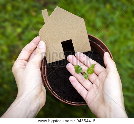 eco friendly living concept