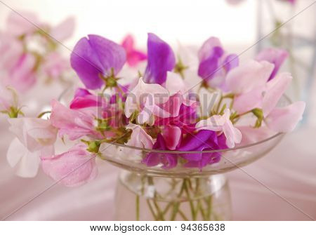 Sweet peas flower