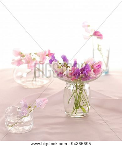 Sweet peas flower