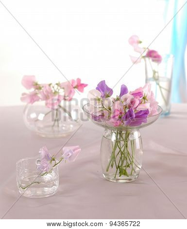 Sweet peas flower