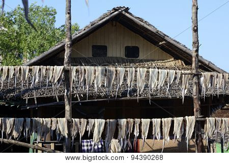 Asia Myanmar Myeik Dry Fish Production