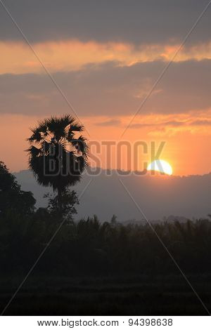Asia Myanmar Myeik Landscape