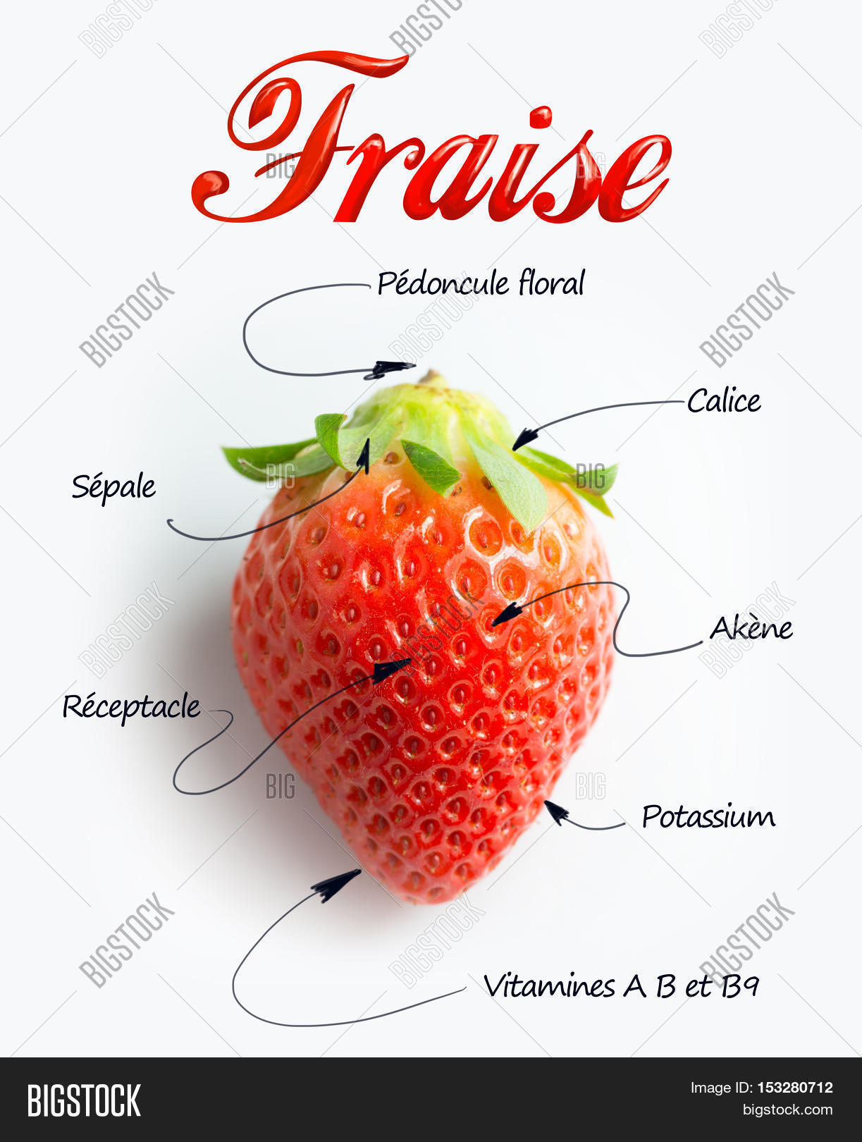 Macro Shot Strawberry Image & Photo (Free Trial) Bigstock