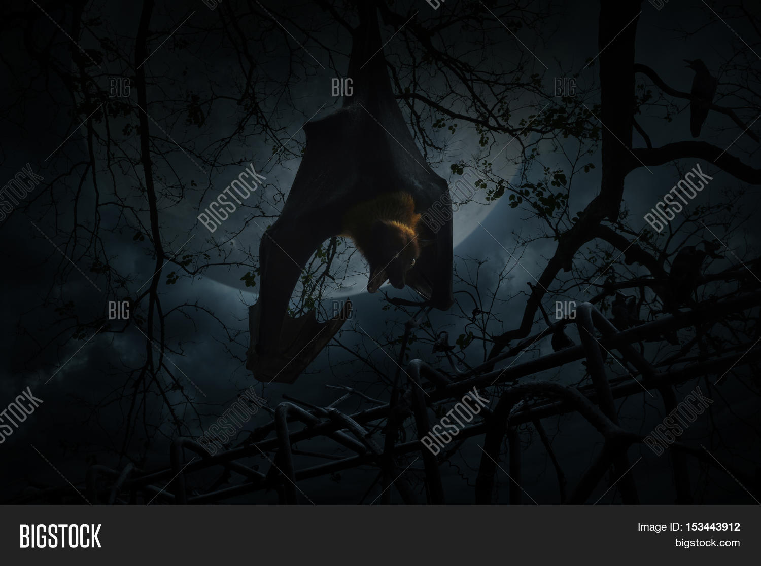 Bat Scream Hang On Image & Photo (Free Trial) Bigstock