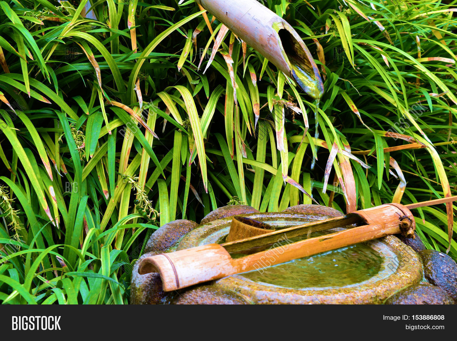 Rustic Style Water Image Photo Free Trial Bigstock