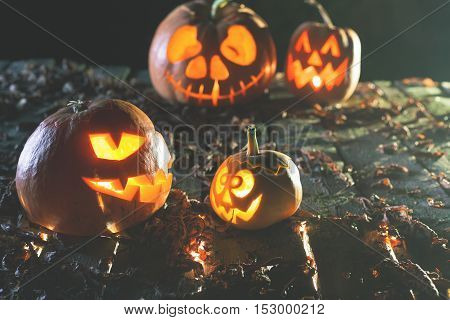 Halloween pumpkins at wood background. Carved scary faces of pumpkin. Night horror. October holiday. Pumpkin family