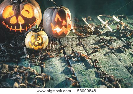 Halloween pumpkins at wood background. Carved scary faces of pumpkin. Night horror. October holiday. Pumpkin family