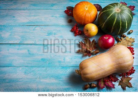 Thanksgiving greeting with pumpkins and apples on blue wooden background. Thanksgiving background with seasonal vegetables and fruits. Copy space