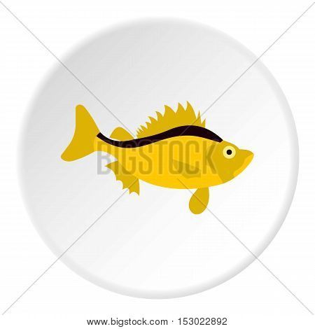 Ruff fish icon. Flat illustration of ruff fish vector icon for web