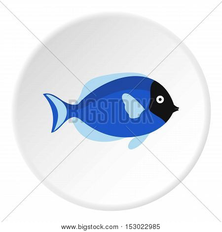 Surgeon fish icon. Flat illustration of surgeon fish vector icon for web