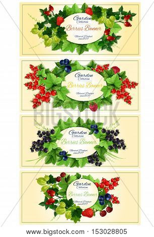 Garden berries fruits banners. Vector design of garden berry with leaves strawberry, dog-rose fruits, red currant, blackcurrant, strawberry, gooseberry