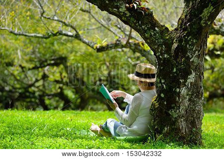 Middle aged woman sitting under a tree reading a book in the park