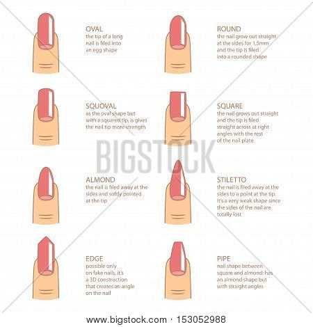 Set of different shapes of nails on white. Nail shape icons. Manicure polish. Vector illustration