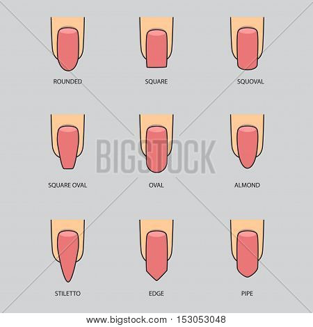 Set of different shapes of nails on gray. Nail shape icons. Manicure polish. Vector illustration