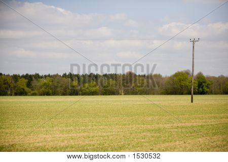 Paesaggio