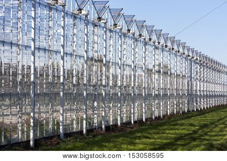Greenhouse in the municipality Westland in the Netherlands
