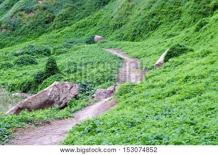 Mountain Path In The National Park Near Khun Dan Dam, Nakohn Nayok Thailand