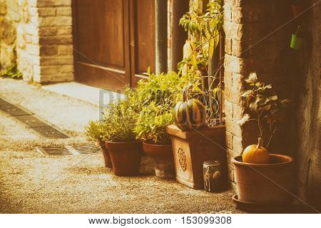 Empty street of small Tuscany town San Quirico d'Orcia in the morning fog with halloween pumpkin decorations. Romantic travel vintage hipster european italy background