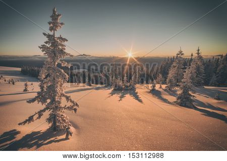 Fantastic orange evening landscape glowing by sunlight. Dramatic wintry scene with snowy trees. Kukul ridge, Carpathians, Ukraine, Europe. Toned like Instagram filter