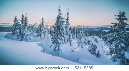 Fantastic orange evening landscape glowing by sunlight. Dramatic wintry scene with snowy trees. Kukul ridge, Carpathians, Ukraine, Europe. Toned like Instagram filter