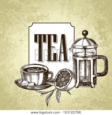 Vector card design with hand drawn tea illustration. Decorative inking background with vintage tea sketch. Sketched template