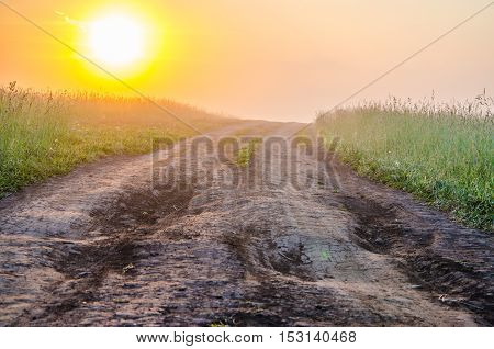 thick morning fog in the summer forest. thick morning fog in the forest at pond. Morning landscape in summer thick fog. dense fog in the morning.  early morning. forest hiding in the fog. forest path
