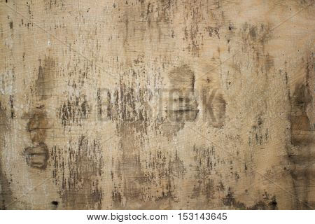 Plywood surface texture background. Vintage wood board