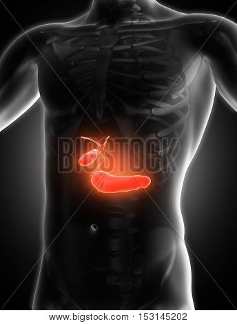 3D render of a medical image of a male figure with biliary highlighted